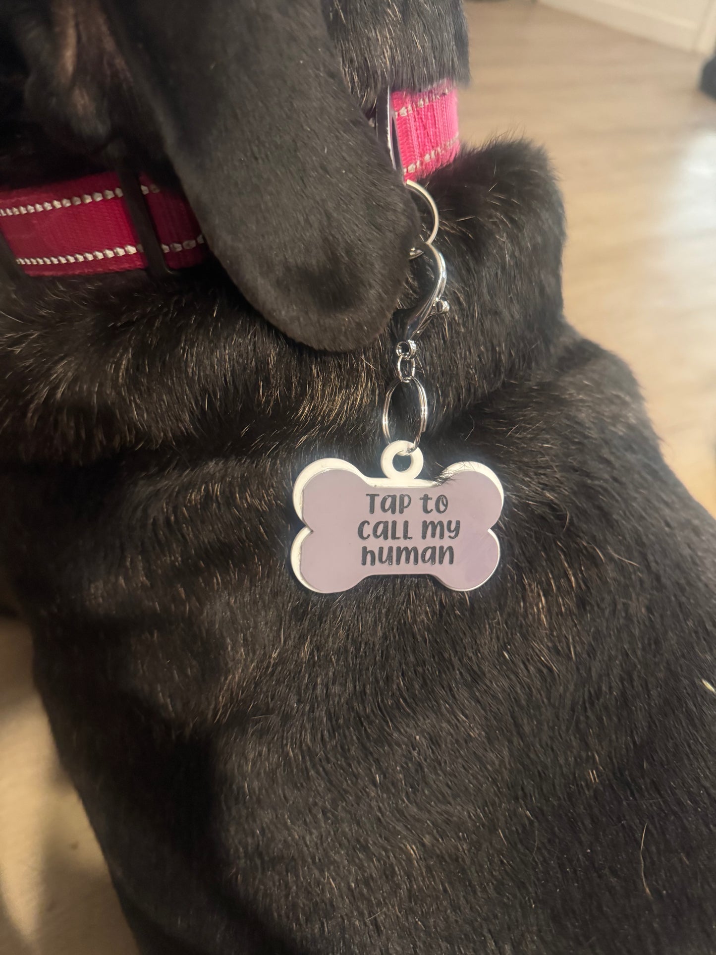 Smart Dog Tag